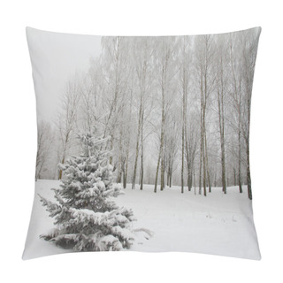 Personality  Winter Landscape Panorama Pillow Covers