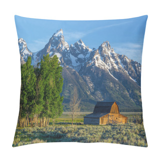 Personality  Grand Teton Mountains, Wyoming. Pillow Covers