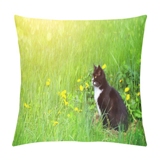 Personality  Cute Black And White Cat On Summer Lawn. Horizontal Sunny Background With Kitty, Green Grass And Dandelions. Copy Space For Text Pillow Covers