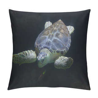 Personality  Loggerhead Sea Turtle (Caretta Caretta) Pillow Covers