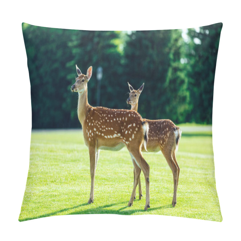 Personality  beautiful deer in park pillow covers