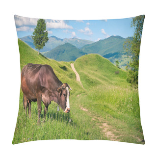 Personality  Cattle On A Mountain Pasture. Pillow Covers
