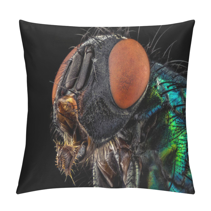 Personality  Common Green Bottle Fly Pillow Covers