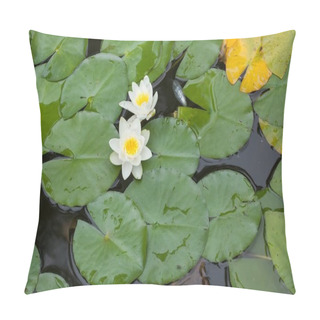 Personality  Star Lotus (Nymphaea Nouchali) Pillow Covers