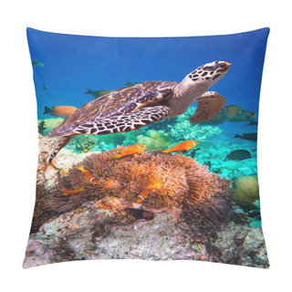 Personality  Hawksbill Turtle - Eretmochelys Imbricata Pillow Covers