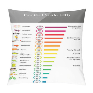 Personality  The Decibel Scale Pillow Covers