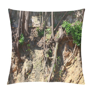 Personality  Tree Roots Exposed Due To Soil Erosion Pillow Covers
