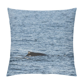 Personality  Whale Diving, Megaptera Novaeangliae, Antarctica. Pillow Covers