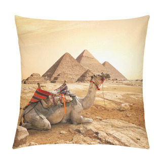 Personality  Camel And The Pyramids Of Giza In Egypt Pillow Covers