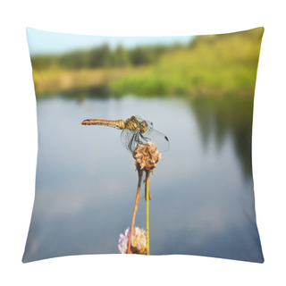 Personality  Dragonfly Pillow Covers