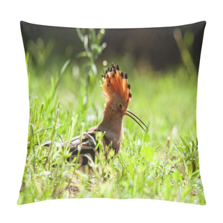 Personality  A Hoopoe (Upupa Epops) In The Ground Pillow Covers