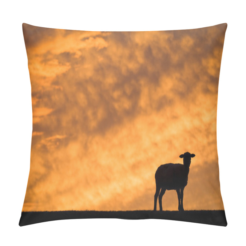 Personality  Sheep in friesland pillow covers