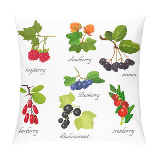 Personality  Set Of Berries With Leaves Botanical Vector Illustration. Pillow Covers