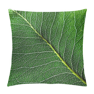 Personality  Macro Photo Of Dark Green Leaf. Natural Pattern Of Leaf Vein As A Background For Your Ideas. Top View Pillow Covers