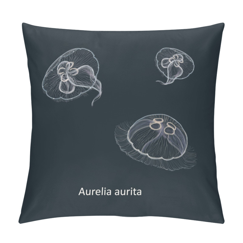 Personality  Hand Drawn Vector Illustration Of Jellyfish Aurelia Aurita, Also Called The Common Jellyfish, Moon Jellyfish, Moon Jelly, Or Saucer Jelly  Pillow Covers