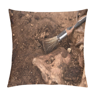 Personality  Archaeological Excavations, Work Of The Search Team At The Site Of A Mass Shooting Of People. Human Remains (bones Of Skeleton, Skulls) In The Ground Tomb. Real Human Remains Of Victims Of The Nazis. Pillow Covers