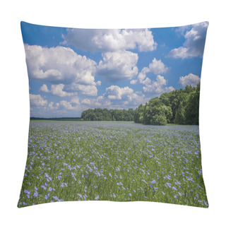 Personality  A Field Of Flowering, Blue Flax Flowers Against The Blue Summer Sky Pillow Covers