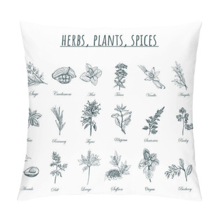 Personality  Herbs, Plants And Spices Vector Illustration.  Pillow Covers