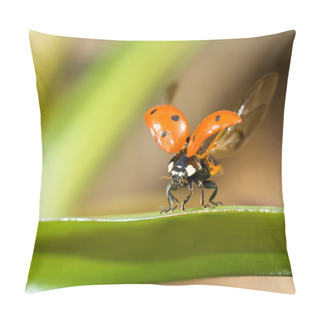 Personality  Ready To Fly. Closeup Of Ladybug Pillow Covers