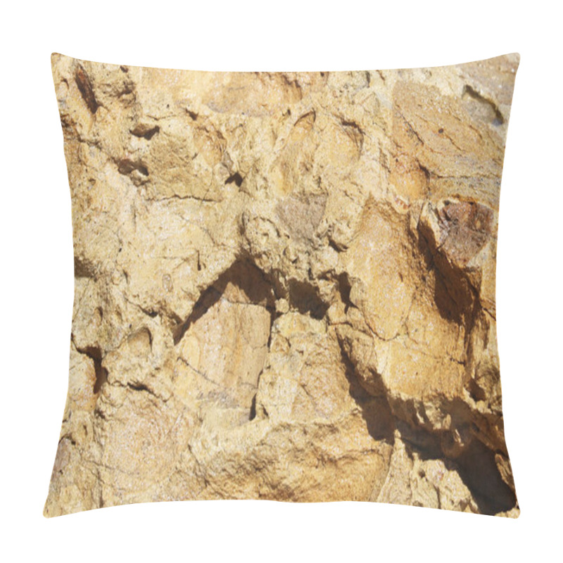 Personality  A detailed close-up photograph of a rock with a bird standing on top of it, showcasing the textures of both subjects. pillow covers