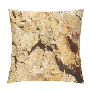 Personality  A Detailed Close-up Photograph Of A Rock With A Bird Standing On Top Of It, Showcasing The Textures Of Both Subjects. Pillow Covers