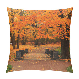 Personality  Autumn Park In September, Path With Red Leaves In Dense Fog. Beautiful Autumn Landscape In The Park, Seasons. Pillow Covers
