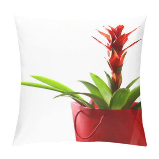 Personality  Exotic Flower In A Package Pillow Covers