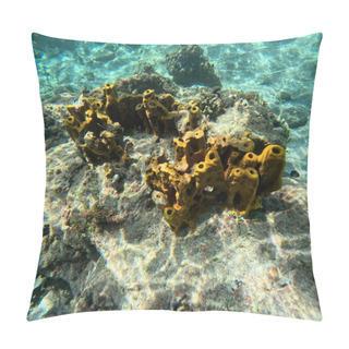 Personality  Aplysina Fistularis, Yellow Tube Sponge, Abundant Sea Sponge Animal In Caribbean Sea, Guadeloupe Pillow Covers