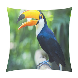Personality  Exotic Toucan Bird In Natural Setting, Foz Do Iguacu, Brazil Pillow Covers