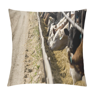 Personality  Cattle Feeding Pillow Covers