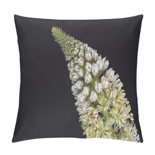 Personality  Reseda Alba - White Mignonette, Crete Pillow Covers