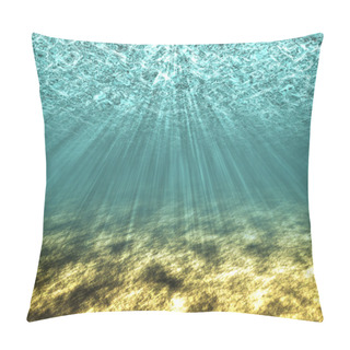 Personality  The Underwater World. Pillow Covers