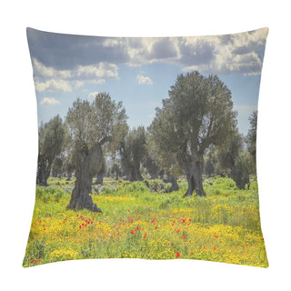 Personality  Spring Landscape: Agriculture Field With Centuries-old Olive Grove Between Meadow Of Poppies  And Wild Flowers. Typical Countryside Of Apulia, Italy. Pillow Covers
