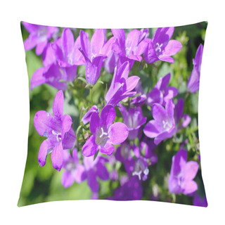 Personality  Bellflower, Campanula Portenschlagiana Pillow Covers
