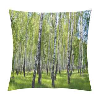 Personality  Summer Birch Forest Landscape Pillow Covers
