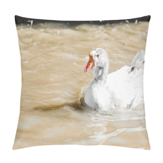 Personality  White Duck Swimming In Pond In Zoo Pillow Covers