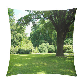 Personality  Summer Tree And Grass Pillow Covers