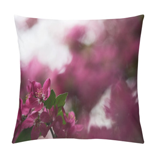 Personality  Close-up Shot Of Beautiful Pink Cherry Blossom On Blurred Background Pillow Covers
