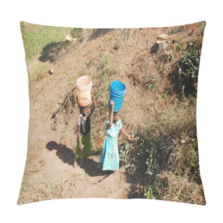 Personality  The Precious Water In The Region Of Kilolo, Tanzania Africa 33 Pillow Covers