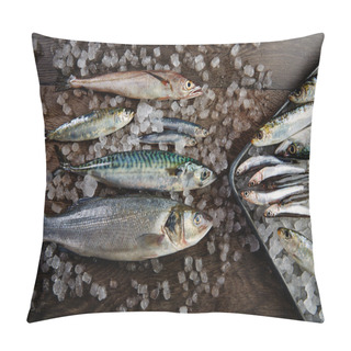 Personality  Fresh Fish Hake Seabass Sardine Mackerel Anchovies Pillow Covers