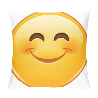 Personality  Smiling Emoticon With Smiling Eyes Pillow Covers