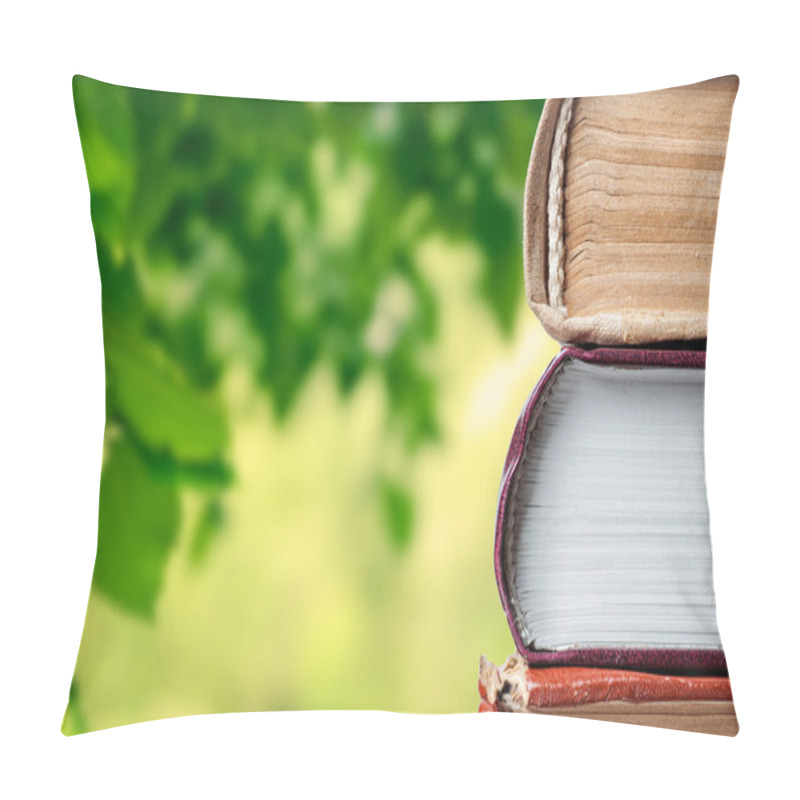 Personality  Books in the summer garden pillow covers