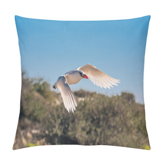 Personality  Red-billed Tropicbird Pillow Covers