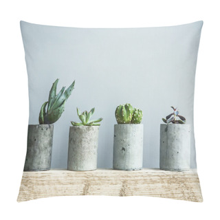 Personality  Succulent Plants In Pots Pillow Covers