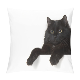 Personality  Black Cat On A White Background Pillow Covers