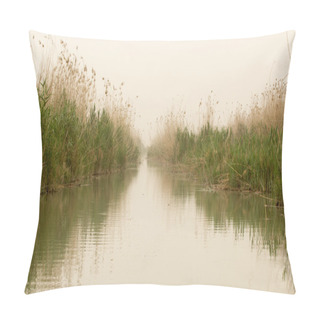 Personality  Iraqi Marshlands Pillow Covers