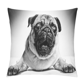 Personality  Black And White Portrait Of A Pug Pillow Covers
