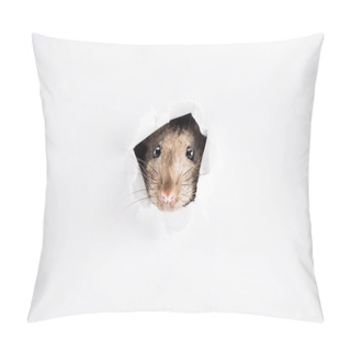 Personality  Cute And Brown Rat Looking Through Hole In New Year  Pillow Covers