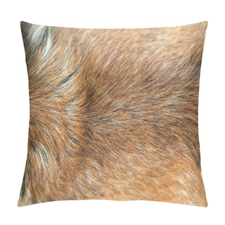 Personality  Golden Dog Fur Pillow Covers