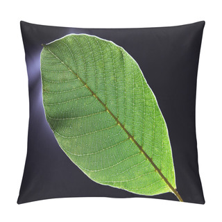 Personality  Through The Light Of The Green Leaf Pattern On A Dark Background. Beautiful Macro Photo As Mockup. Flat Lay Pillow Covers